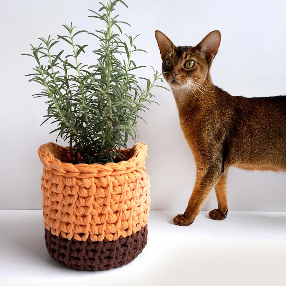 Keep It - Basket Set - Image 7